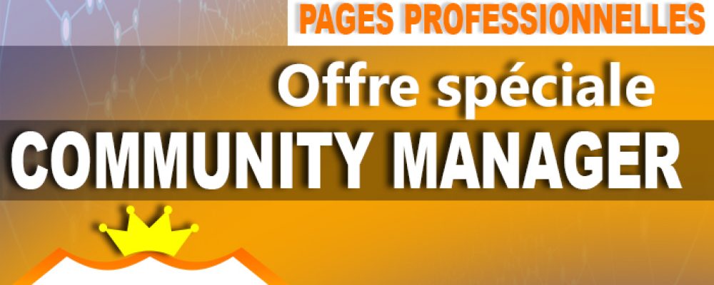 Création et Gestion des pages professionnelles sur les réseaux sociaux